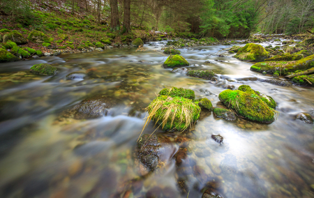 Run of mountain river with green stonesの写真素材