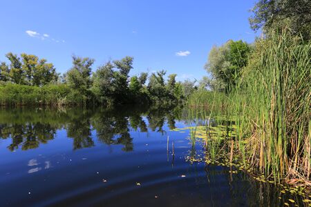 scene with lake at nice summer dayの写真素材