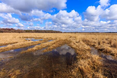 landscape with flooded spring meadowの写真素材