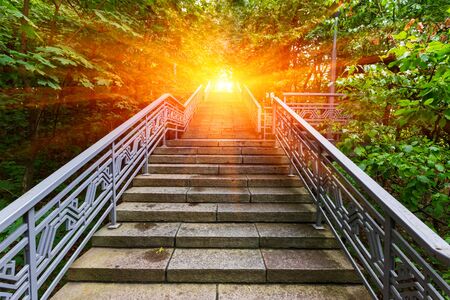 stairway in green park  to sunset