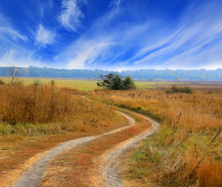 Rut road across autumn meadow under nice sky with cloudsの写真素材
