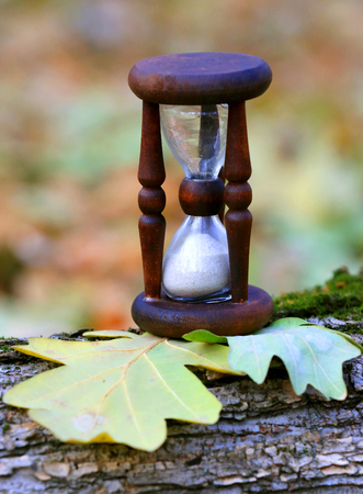 Abstract hourglass on autumn oak leafage in foresの写真素材