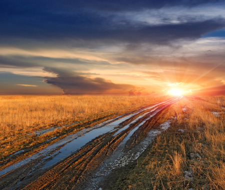 dirt road across meadow in steppe at sunset\の写真素材