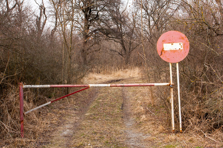 No entry sign on road in autumn forestの写真素材