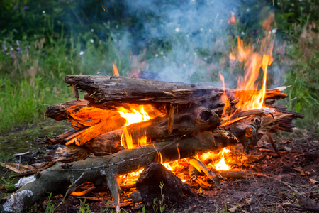 Hot camp fire on green meadowの写真素材