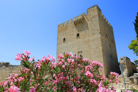 nice rhododendron flowers in Kolossi Castle, Cyprusのeditorial素材