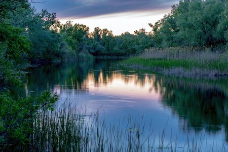 Quiet evening scene on riverの写真素材