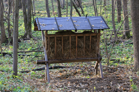 manger with hay for wild animals in autumn forestの写真素材