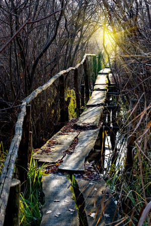 old wooden bridge over small river in forestの写真素材