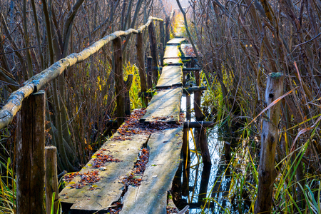old wooden bridge across river in autumn forestの写真素材