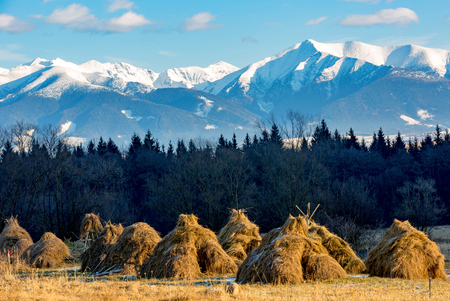 hays on farming meadow on mountain ridge backgroundの写真素材