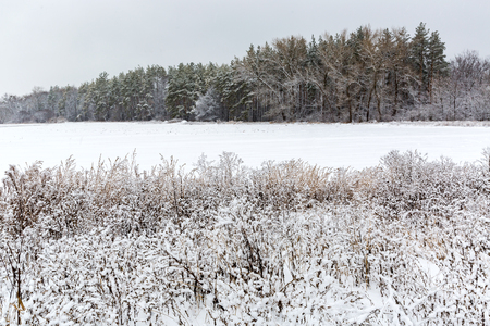 Winter landscape with snow-covered meadow in forestの写真素材