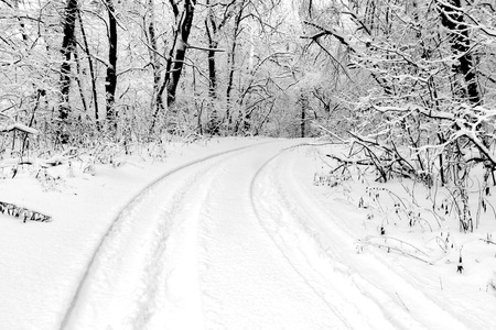 road turn in winter forestの写真素材
