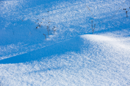 snow on meadow - abstract backgroud textureの写真素材