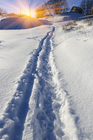 Scene with pathway on snow-covered meadowの写真素材