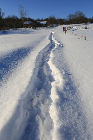 pathway on snovy meadow in ruralの写真素材