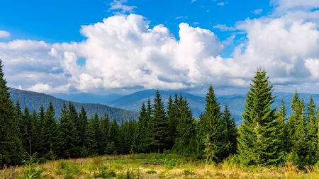 nice scene with meadow in mountains under beautiful skyの写真素材