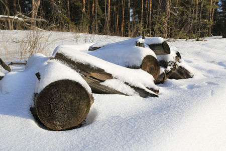 woden logs under snow on meadowの写真素材