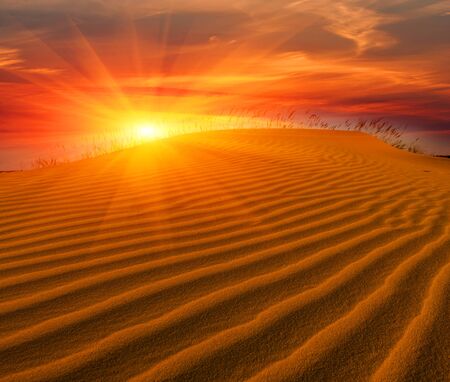 Hot sunset scene in desertの写真素材