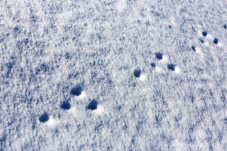 Footprints in the snow - abstratc natural backgroundの写真素材