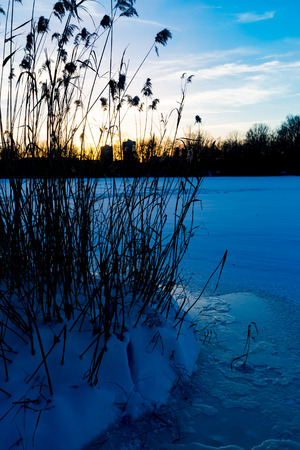 evening scene with cane on frozen river in winter timeの写真素材