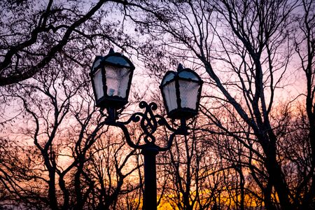 Street lantern in evening parkの写真素材