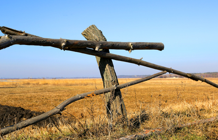 old wooden fence on meadow border in sunny spring dayの写真素材
