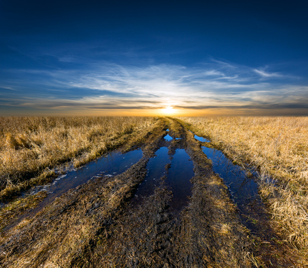 sunset scene over dirt road in spring steppeの写真素材