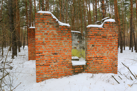 Old ruin of house in winter forestの写真素材