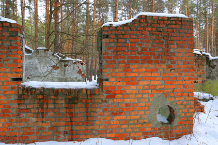 old red brickwork ruin in winter forestの写真素材
