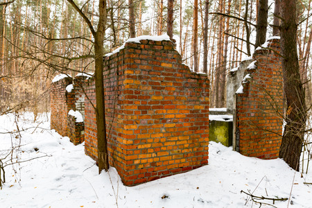 old lost house in winter borestの写真素材