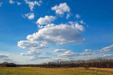 Nice clouds in blue sky over spring meadowの写真素材