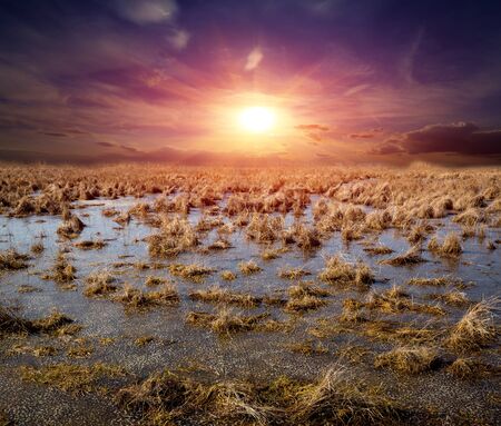 spring landscape with flooded meadow against susnet skyの写真素材
