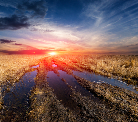 dirt road across meadow in steppe at sunsetの写真素材