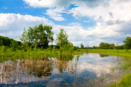 Spring landscape with swamp in steppeの写真素材
