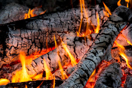 hot flames of campfire in darknessの写真素材