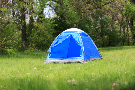 nice tourist tent on green meadow in forestの写真素材