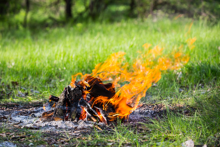hot flames of campfire on green meadowの写真素材