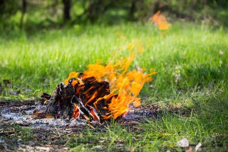 firepalce with flame amonf green grass on meadowの写真素材