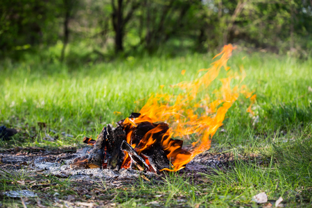 hot flame of fire on meadowの写真素材