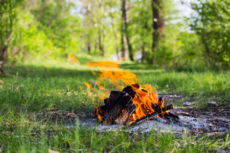 campfire on green meadow in summer forestの写真素材