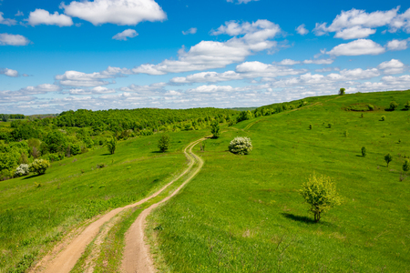 summer landscape with road across green meadowの写真素材