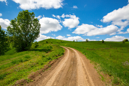 rut road among green grasslandの写真素材