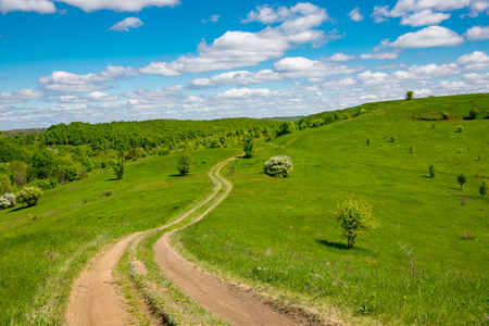 path across green meadow on hillの写真素材