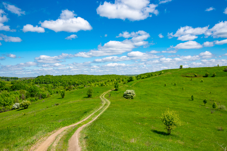 nice landscape with path over green hillの写真素材