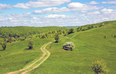 Rut road across green hillの写真素材