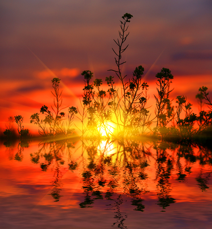 abstract sunset scene with garss and water reflectionの写真素材