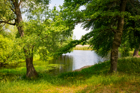 summer scene on small riverの写真素材