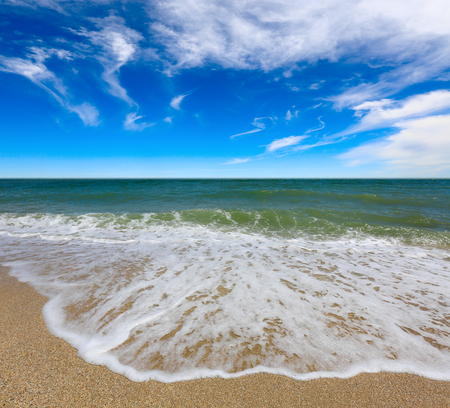 summer scene over sea shoreの写真素材
