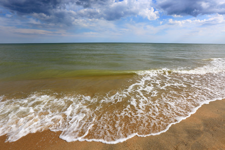 Summer landscape on sea shoreの写真素材